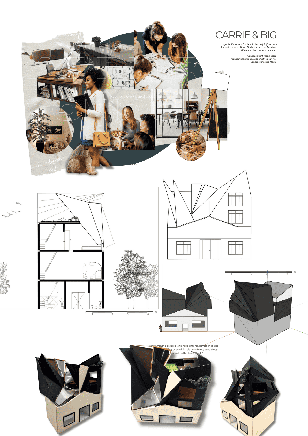 Year 1 Carrie & Big Year 1 Project