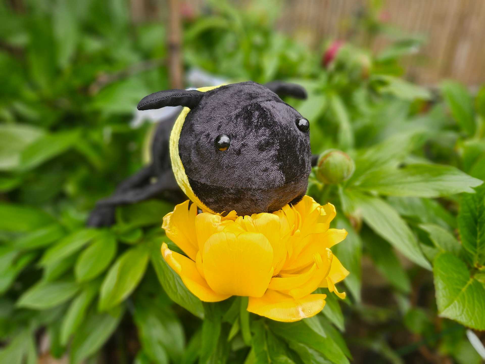 Bumbles the Bee